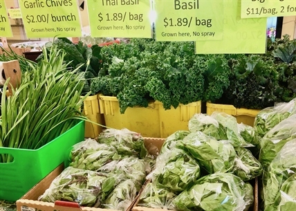 iNwine’s Farmer Friday: The Chen family, Glenmore Garden Market | iNwine