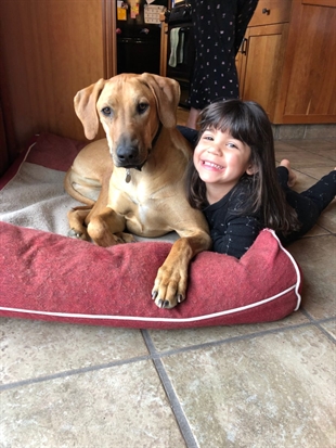 Touring wineries with your furry, four-legged friend | iNwine